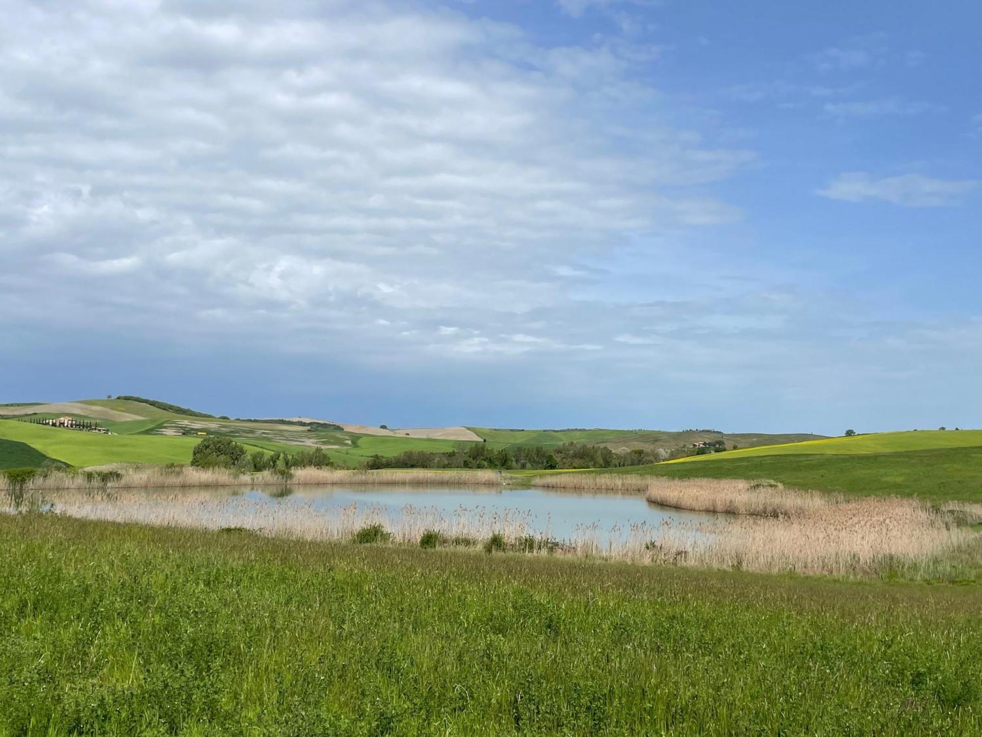 Agriturismo Le Sorbelle D'Orcia Con Piscina Пиенца Экстерьер фото
